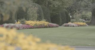 Link to Video | Bäume, August, lawn, urban park, lake, Switzerland, Lucerne, meadow, Blumen