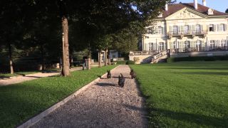 Link to Video | Basel-Stadt, Villa Wenkenhof, Switzerland, villa, Riehen