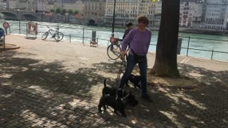 Link to Video | color, 4K resolution, city, daytime, Rhine, Basel