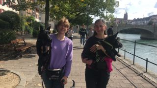 Link zum Video | Farbe, 4K, Stadt, Lichter Tag, Rhein, Basel