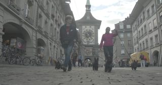 Link to Video | 2019, Switzerland, Bern