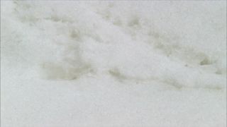 Link to Video | climate change, natural phenomenon, danger, Full High Definition, color, 35 mm film, United States of America, mountain range, snow, avalanche