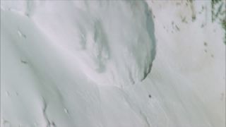 Link to Video | climate change, natural phenomenon, danger, Full High Definition, color, 35 mm film, United States of America, mountain range, snow, avalanche