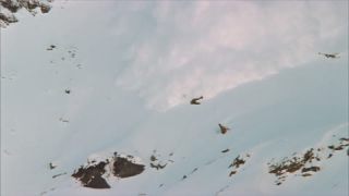 Link to Video | climate change, natural phenomenon, danger, Full High Definition, color, 35 mm film, United States of America, mountain range, snow, avalanche