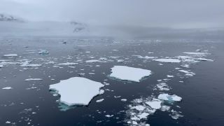 Link to Video | Antarctic, South Pole