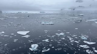 Link to Video | Antarctic, South Pole