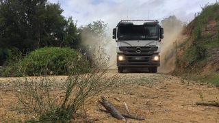 Link to Video | renewable resource, lumber, transport, raw material, trunk, color, Forstwirtschaft, wood, forestry, truck, land transport, forest, New Zealand