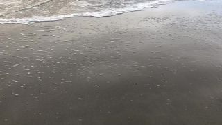 Link to Video | New Zealand