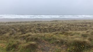 Link to Video | New Zealand