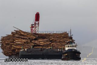 Link to Photo | Canada, wood economy, Vancouver Island, British Columbia, business activity, wood, North America, digital color photograph, wood industry