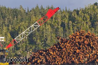 Link to Photo | Canada, wood economy, Vancouver Island, British Columbia, business activity, wood, North America, digital color photograph, wood industry