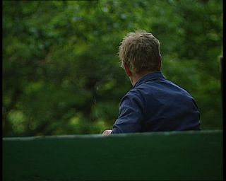 Link to Video | deciduous forest, 1990, color, green, Harz, horse