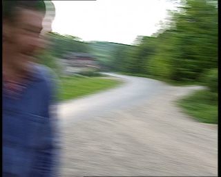 Link to Video | deciduous forest, 1990, color, green, Harz, horse