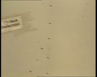 Link to Video | Thuringia, German Democratic Republic, 1990, Weimar, eastern Germany