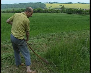 Link to Video | agriculture, mowing, scythe, farmer, German Democratic Republic, 1990, color, standard-definition television, profession, 1990s, grass, work, meadow, Betacam SP, man, eastern Germany