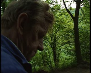 Link to Video | deciduous forest, 1990, color, green, Harz, horse