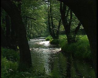 Link to Video | landscape, Saxony-Anhalt, Germany, color, standard-definition television, Harz, Mittelgebirge, nature, Betacam SP