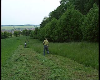 Link to Video | agriculture, mowing, scythe, farmer, German Democratic Republic, 1990, color, standard-definition television, profession, 1990s, grass, work, meadow, Betacam SP, man, eastern Germany