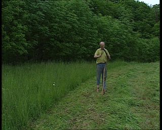 Link to Video | agriculture, mowing, scythe, farmer, German Democratic Republic, 1990, color, standard-definition television, profession, 1990s, grass, work, meadow, Betacam SP, man, eastern Germany