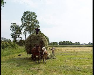 Link to Video | agriculture, summer, German Democratic Republic, 1990, standard-definition television, hay, 1990s, haymaking, Betacam SP, eastern Germany