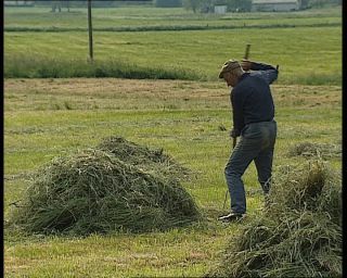 Link to Video | agriculture, summer, German Democratic Republic, 1990, standard-definition television, hay, 1990s, haymaking, Betacam SP, eastern Germany