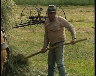 Link to Video | agriculture, summer, German Democratic Republic, 1990, standard-definition television, hay, 1990s, haymaking, Betacam SP, eastern Germany