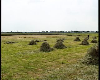 Link to Video | agriculture, summer, German Democratic Republic, 1990, standard-definition television, hay, 1990s, haymaking, Betacam SP, eastern Germany
