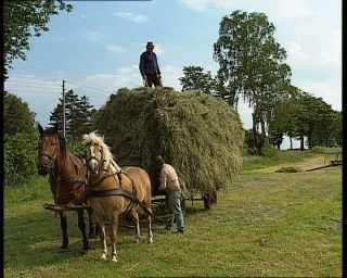 Link to Video | agriculture, summer, German Democratic Republic, 1990, standard-definition television, hay, 1990s, haymaking, Betacam SP, eastern Germany