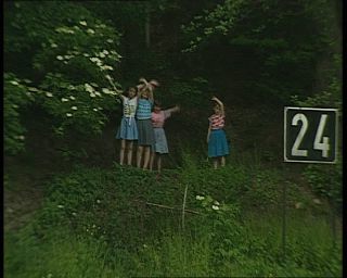 Link to Video | tourist destination, Saxony, maritime transport, Elbe, German Democratic Republic, 1990, color, standard-definition television, Elbe Sandstone Mountains, 1990s, tour boat ride, river, Betacam SP, eastern Germany