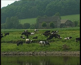 Link to Video | tourist destination, Saxony, maritime transport, Elbe, German Democratic Republic, 1990, color, standard-definition television, Elbe Sandstone Mountains, 1990s, tour boat ride, river, Betacam SP, eastern Germany