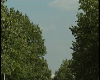 Link to Video | German Democratic Republic, 1990, East Berlin, Berlin, eastern Germany