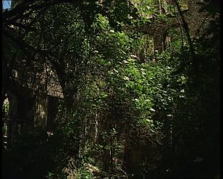 Link to Video | ruins, Saxony, Dresden Castle, German Democratic Republic, Dresden, 1990, ruinous, château, eastern Germany