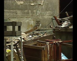 Link to Video | German Democratic Republic, 1990, Prenzlauer Berg, East Berlin, eastern Germany