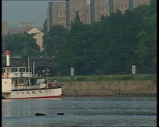 Link to Video | steamship, maritime transport, Elbe, German Democratic Republic, Dresden, steamboat, 1990, river, Dresden, eastern Germany