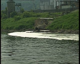 Link to Video | environmental pollution, Elbe, German Democratic Republic, Dresden, 1990, wastewater, river, pollution, eastern Germany
