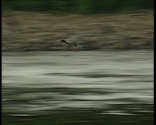 Link to Video | environmental pollution, Elbe, German Democratic Republic, Dresden, 1990, wastewater, river, pollution, eastern Germany