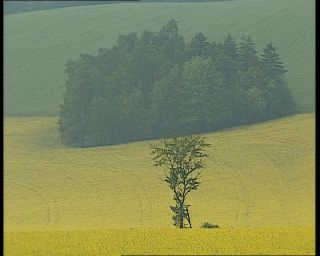 Link to Video | German Democratic Republic, 1990, Ore Mountains, eastern Germany