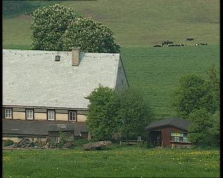 Link to Video | Saxony, summer, German Democratic Republic, 1990, color, standard-definition television, 1990s, Seiffen/Erzgeb., Betacam SP, eastern Germany