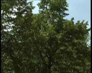 Link to Video | German Democratic Republic, 1990, East Berlin, Berlin, eastern Germany