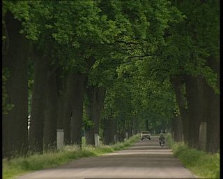 Link to Video | German Democratic Republic, 1990, color, standard-definition television, 90s, 1990s, Betacam SP, eastern Germany
