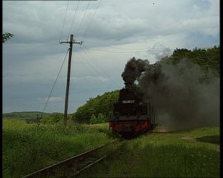 Link zum Video | Grönland, Grönland