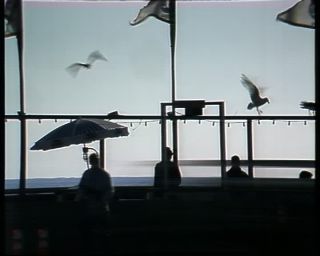 Link to Video | color, 1988, United States of America, Malibu, beach, North America, Gladstones Malibu, California