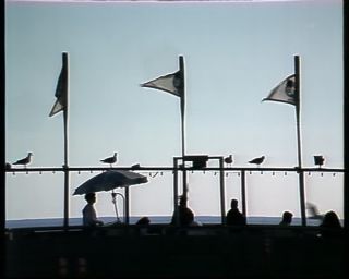 Link to Video | color, 1988, United States of America, Malibu, beach, North America, Gladstones Malibu, California
