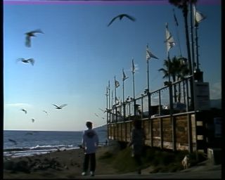 Link to Video | color, 1988, United States of America, Malibu, beach, North America, Gladstones Malibu, California