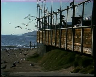 Link to Video | color, 1988, United States of America, Malibu, beach, North America, Gladstones Malibu, California