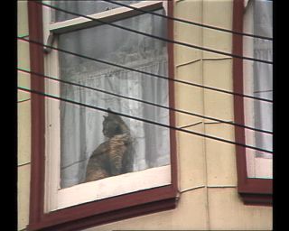 Link to Video | color, 1988, United States of America, North America, San Francisco, California