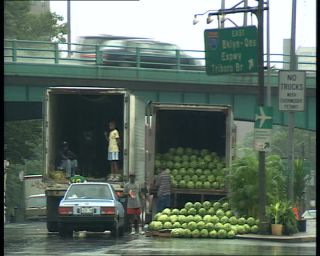 Link to Video | Big Apple, 1989, United States of America, New York City