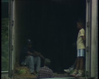 Link to Video | Big Apple, 1989, United States of America, New York City