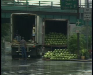 Link to Video | Big Apple, 1989, United States of America, New York City