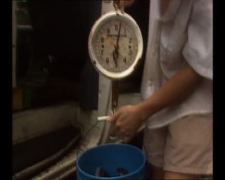 Link to Video | Big Apple, 1989, United States of America, New York City